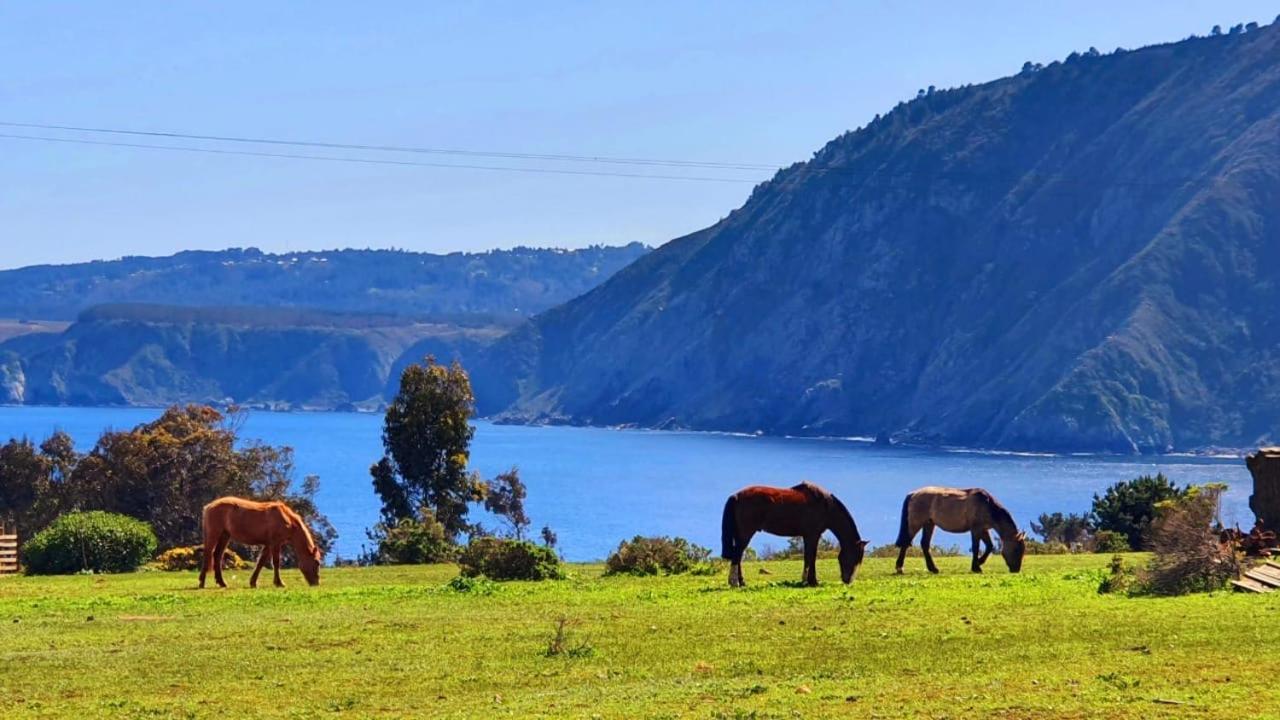 Cabana En Tunquen Con Parrilla, Fogon, Piscina Y Bosque 外观 照片