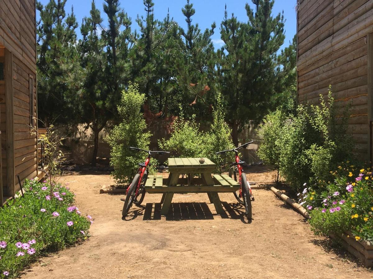 Cabana En Tunquen Con Parrilla, Fogon, Piscina Y Bosque 外观 照片