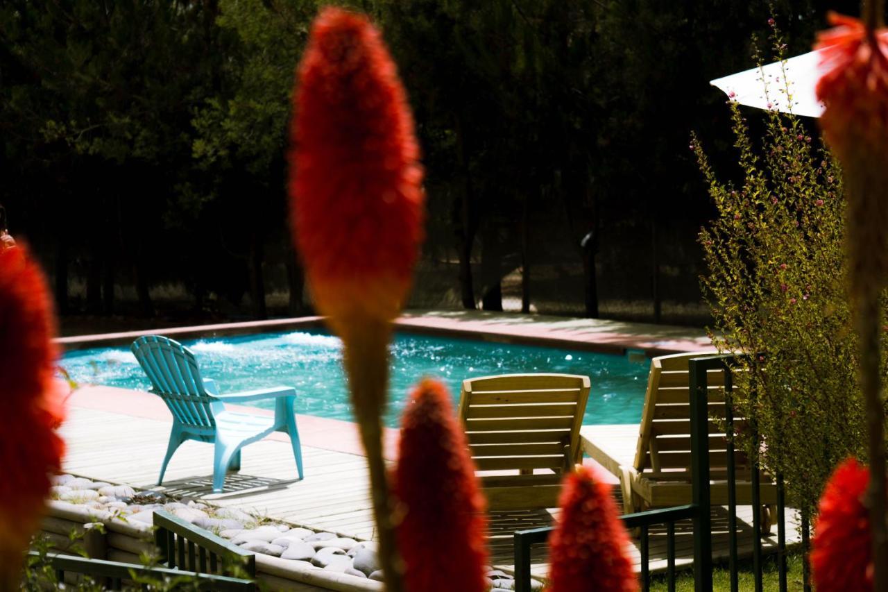 Cabana En Tunquen Con Parrilla, Fogon, Piscina Y Bosque 外观 照片