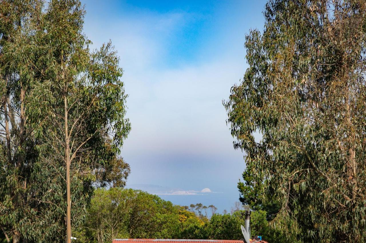 Cabana En Tunquen Con Parrilla, Fogon, Piscina Y Bosque 外观 照片